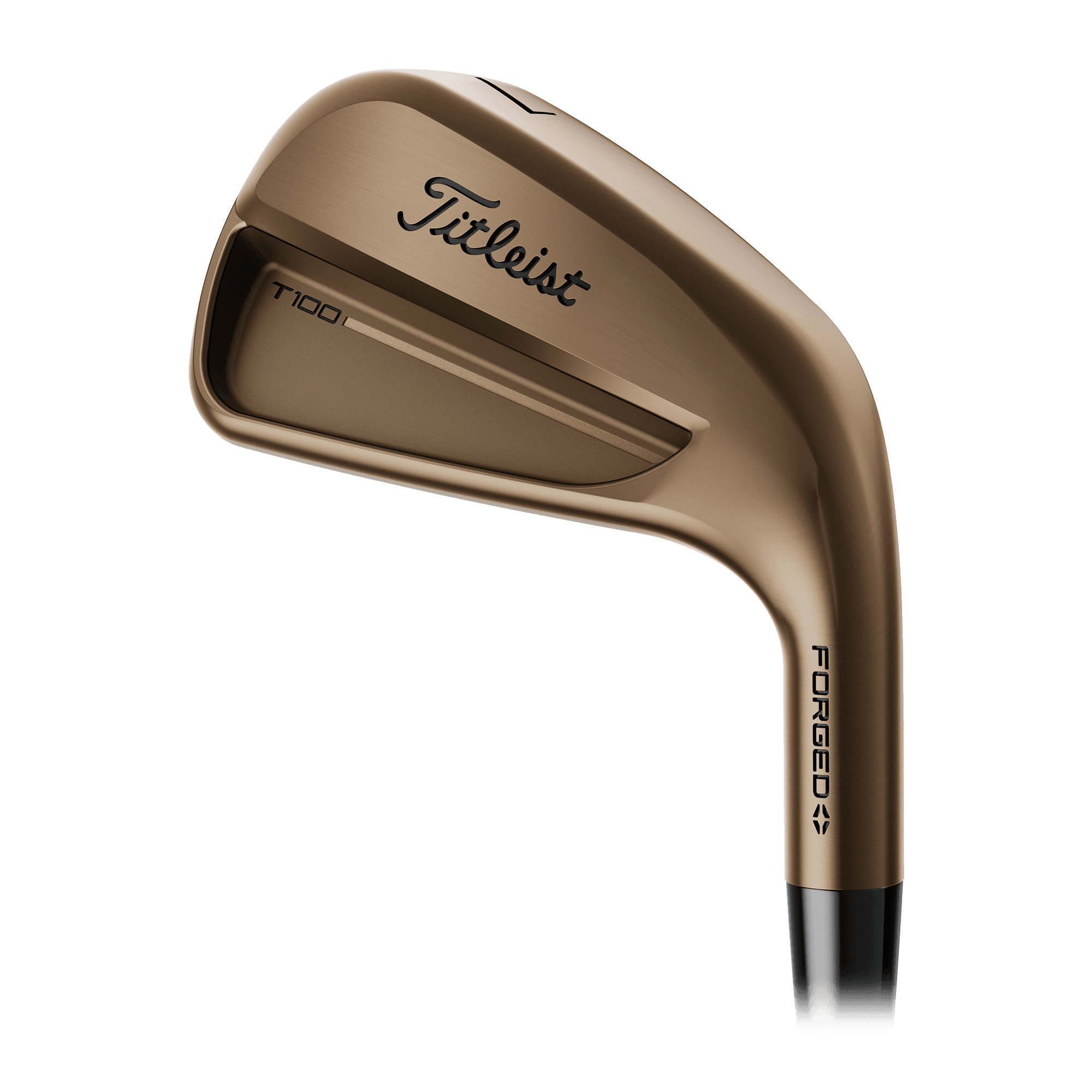 Titleist T100S irons