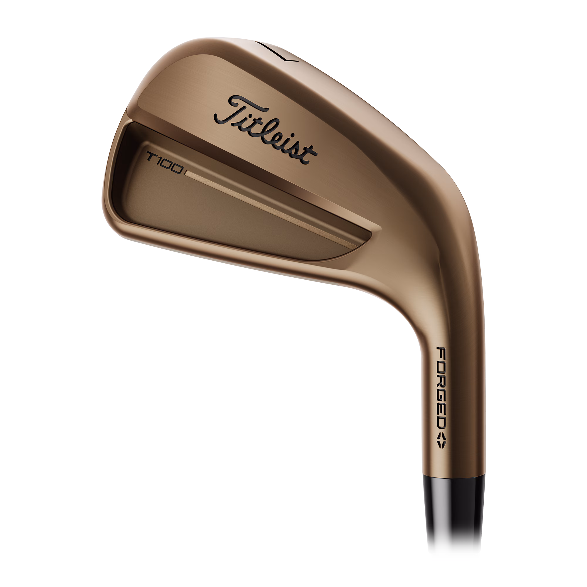 Titleist T100S irons