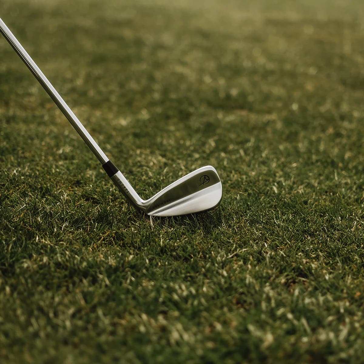 Takomo Iron 101 irons