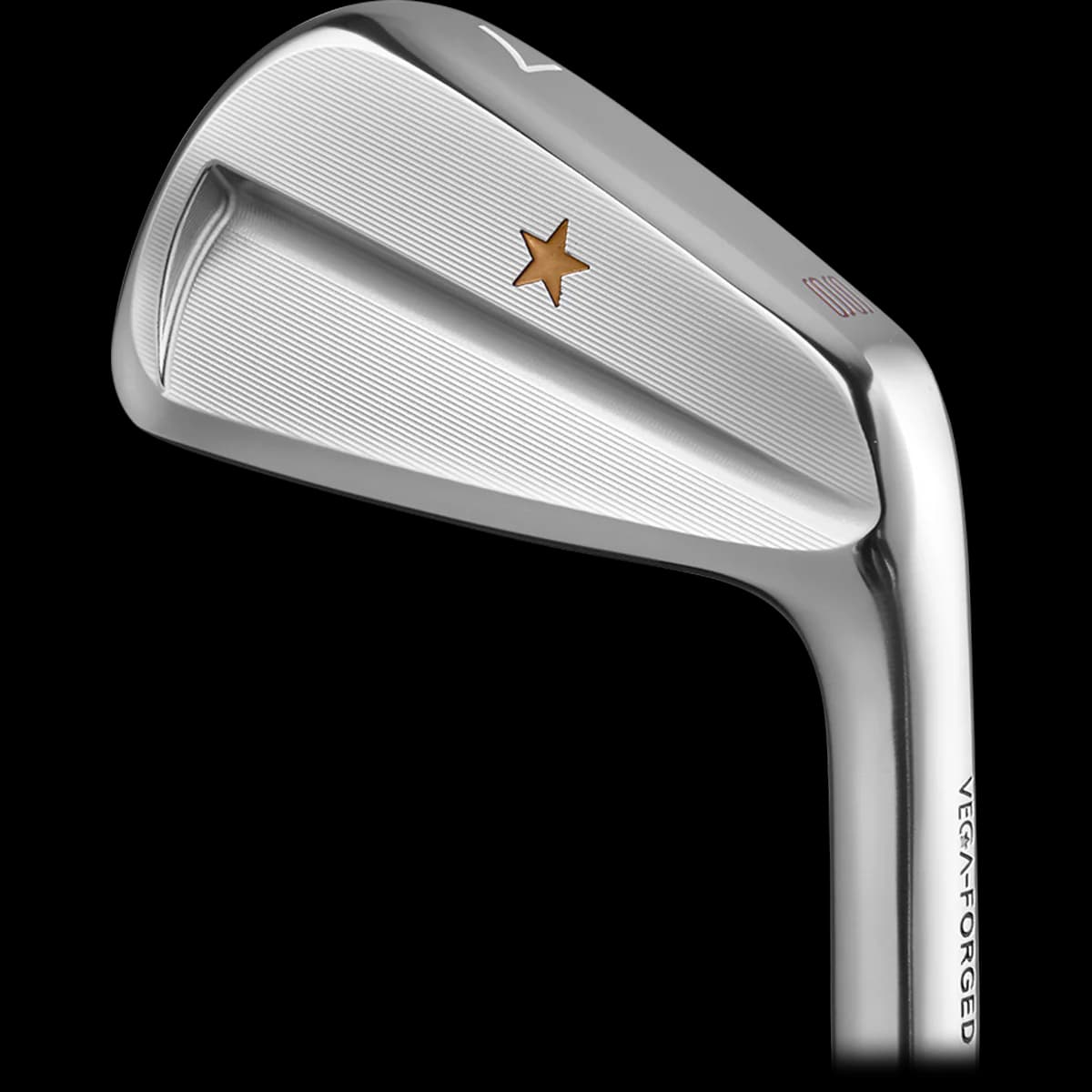 Vega Golf SS irons